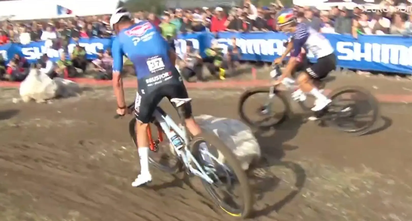 MathieuVanderPoel