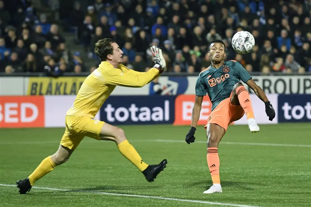 xavier mous