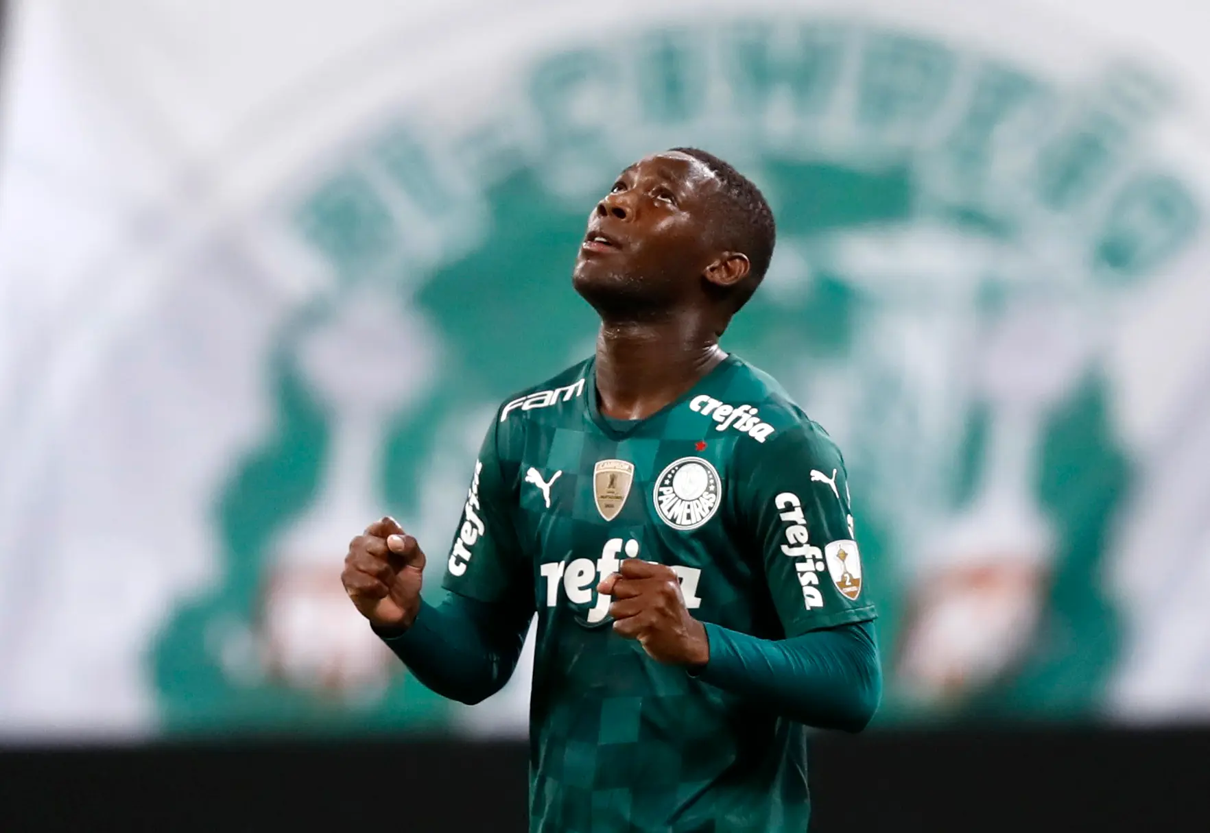 Patrick de Paula Palmeiras