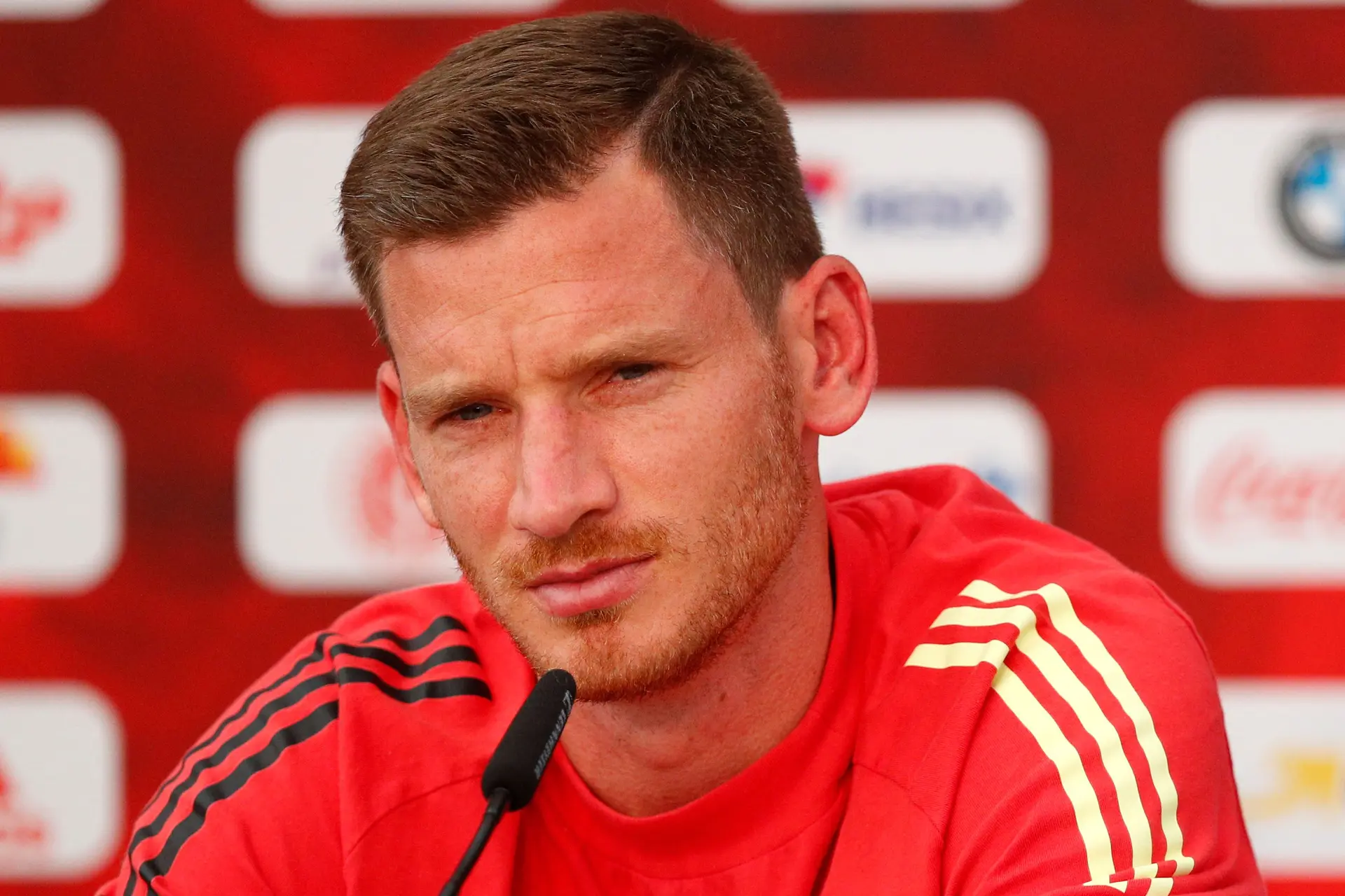 Vertonghen Belgie