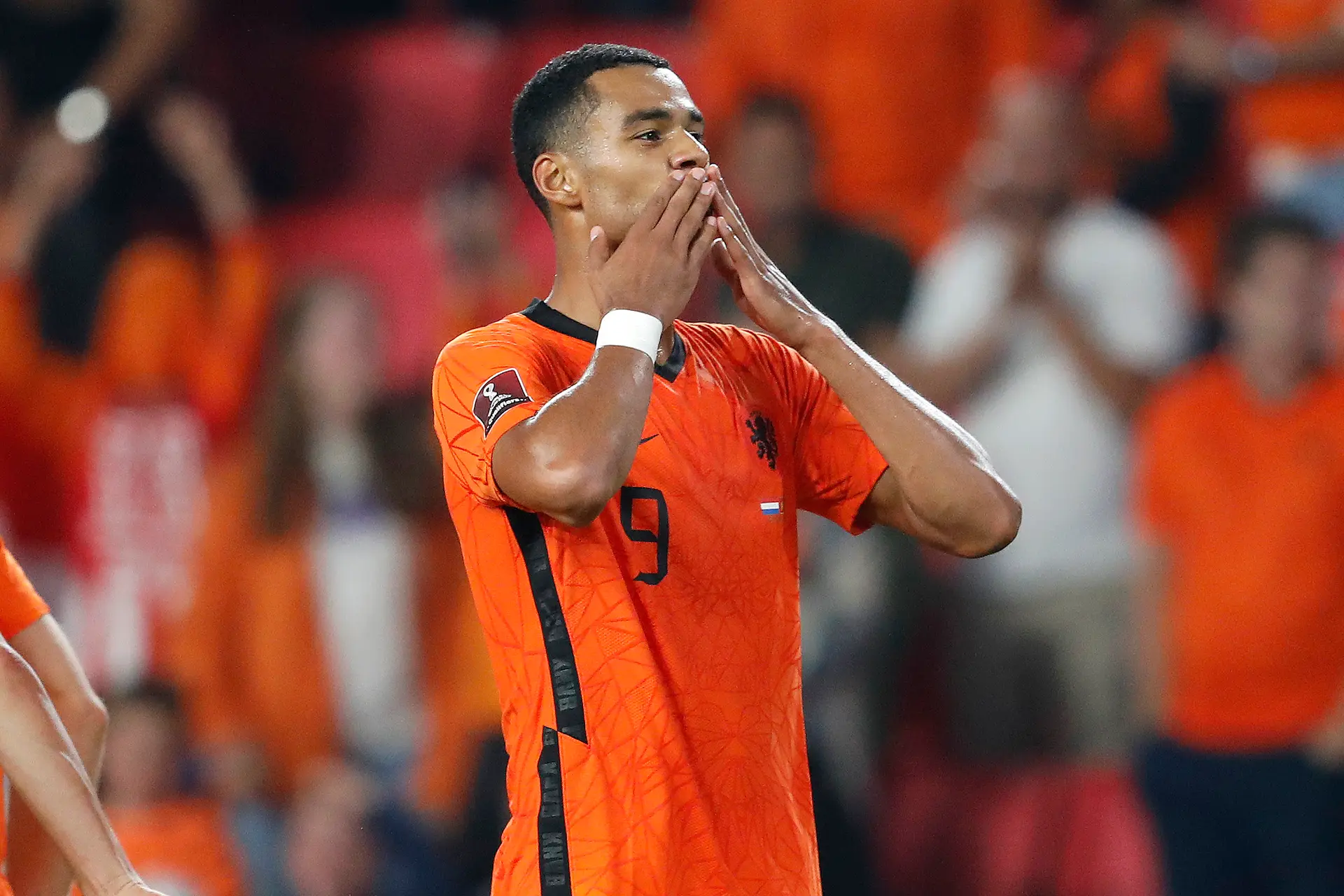 cody gakpo nederlands elftal oranje