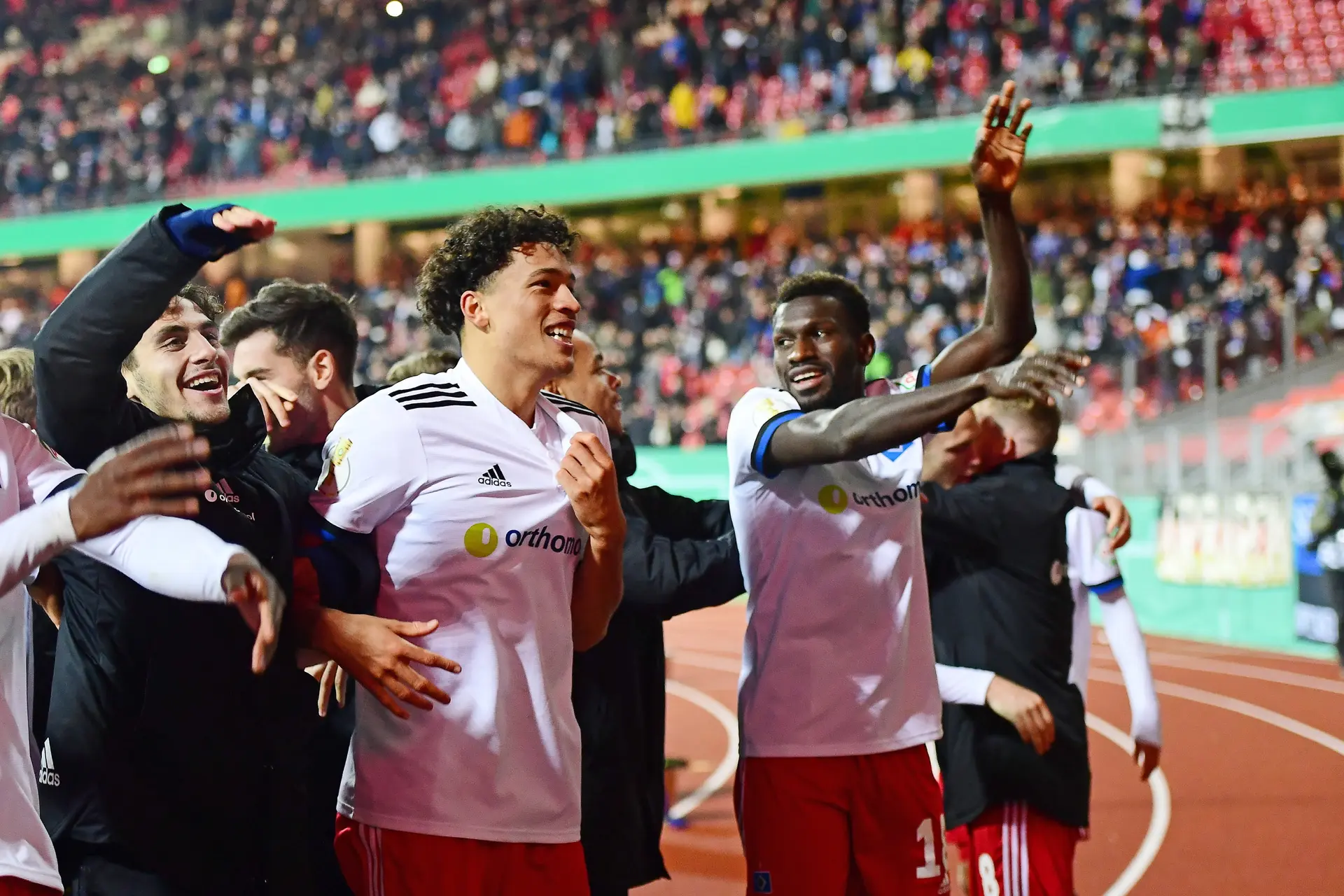 jonas david hamburger sv
