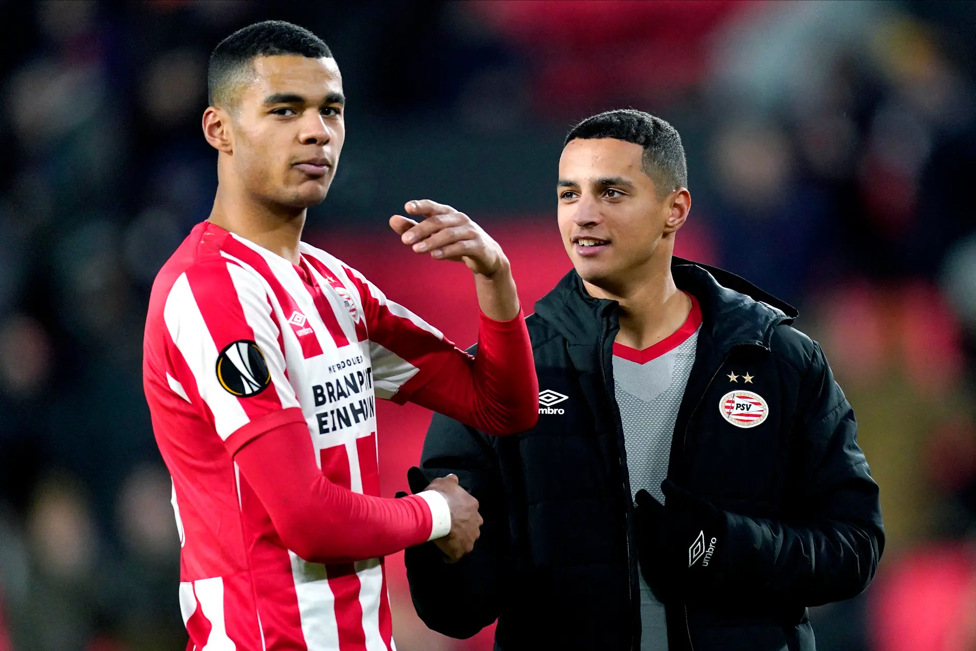 cody gakpo mohamed ihattaren psv