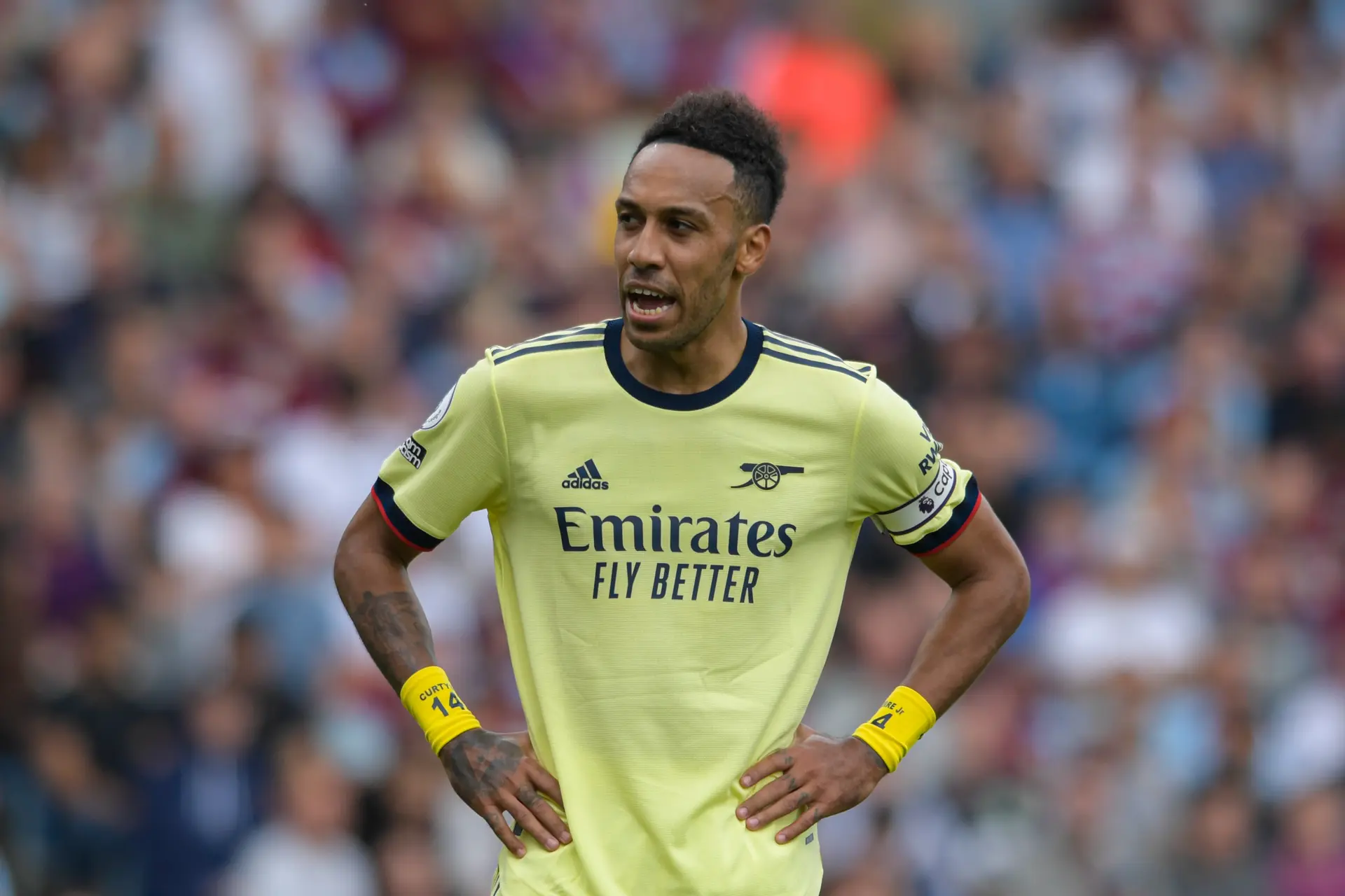 pierre emerick aubameyang arsenal fc barcelona