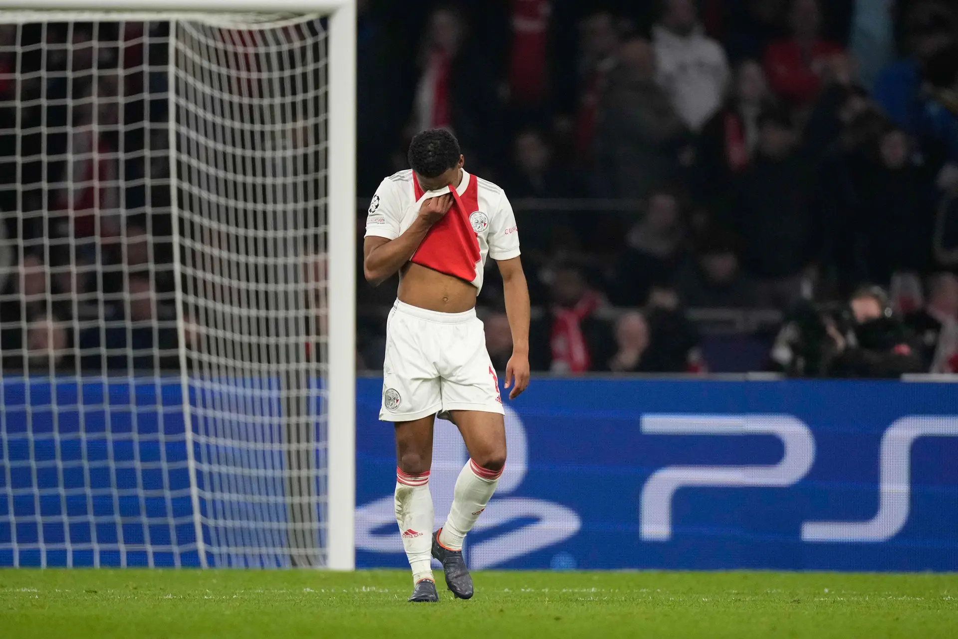 jurrien timber ajax benfica champions league