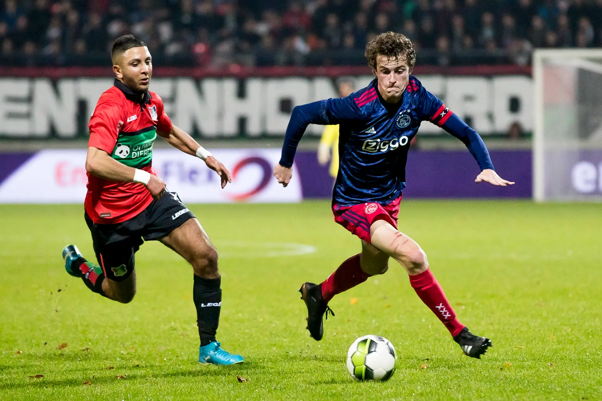 bergsma ajax