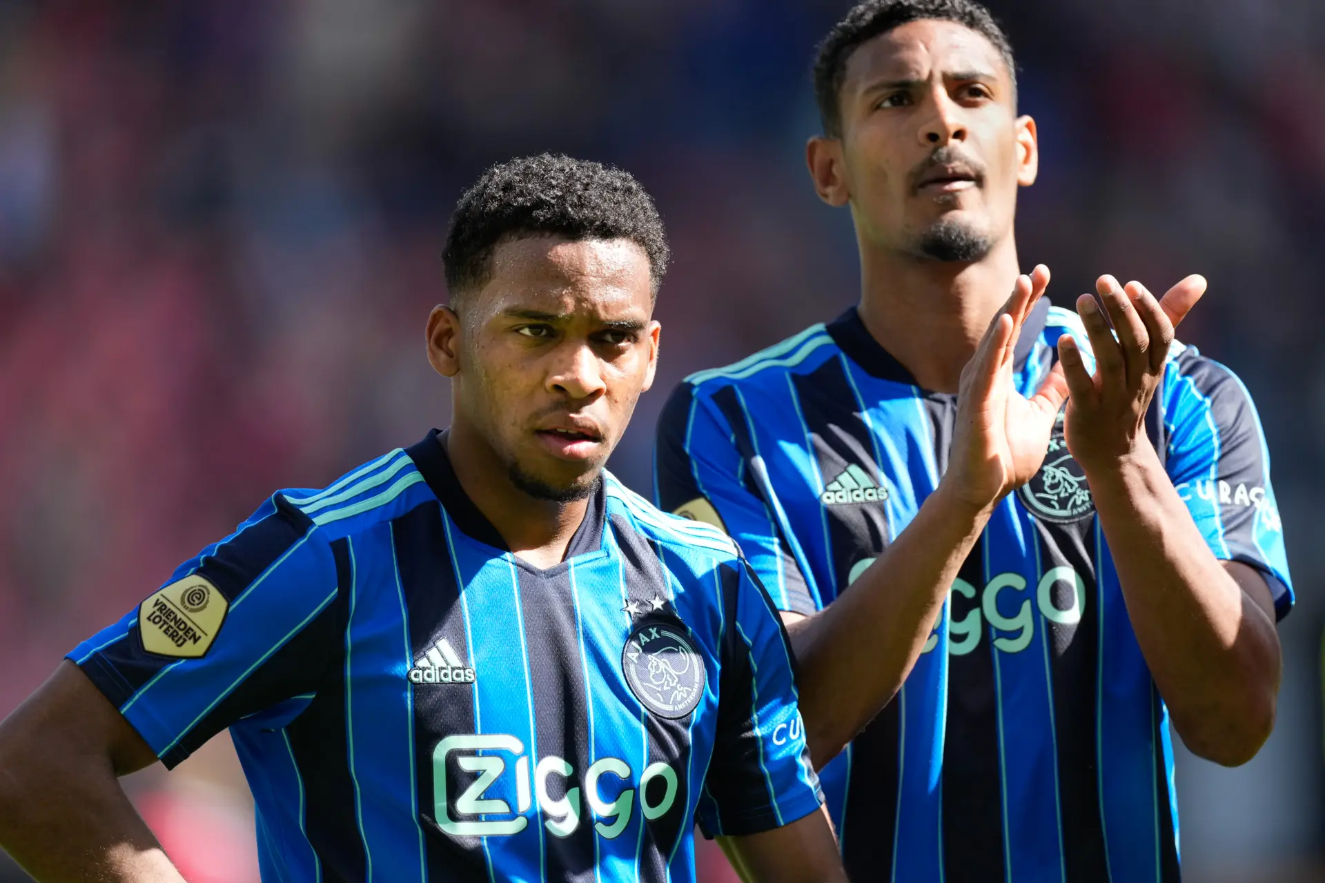timber haller ajax 2122
