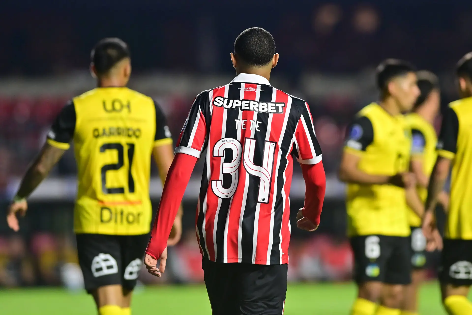 Ajax Showtime Tete Sao Paulo