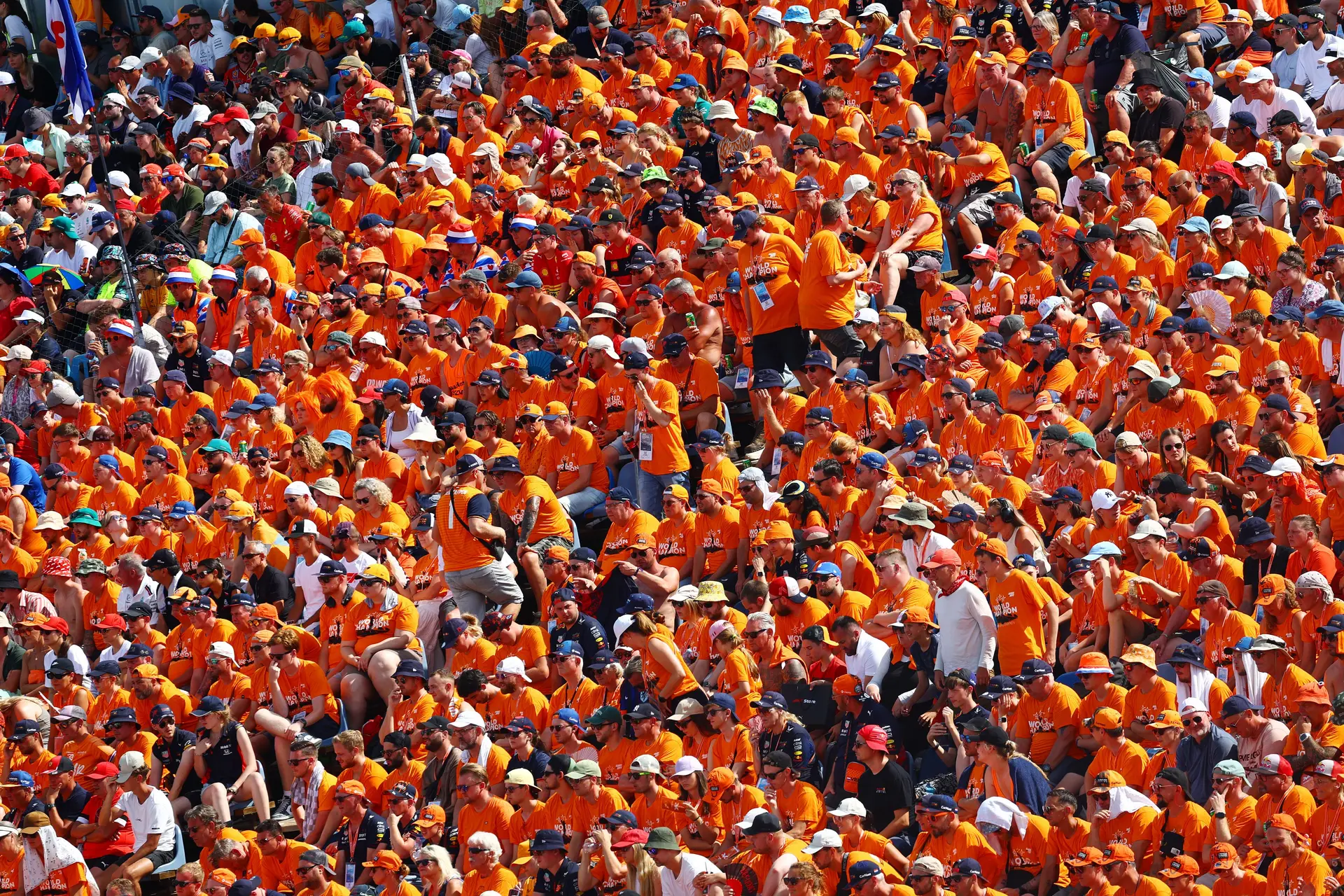 oranjefans hongarije zondag verstappen