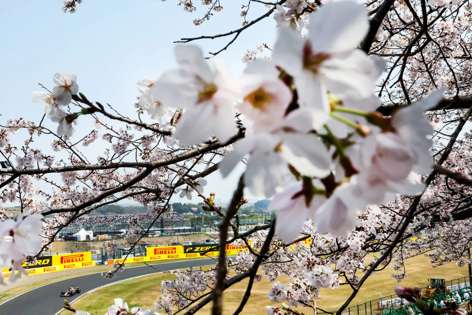 Ondertussen in F1 | Enorme Porsche-crash zorgt voor vertraging in F1-programma