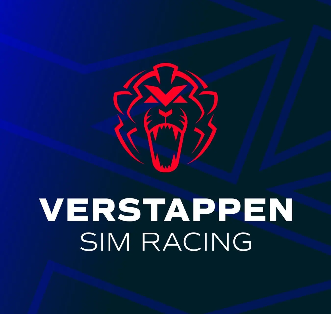 team-red-line-verstappen-sim-racing-112