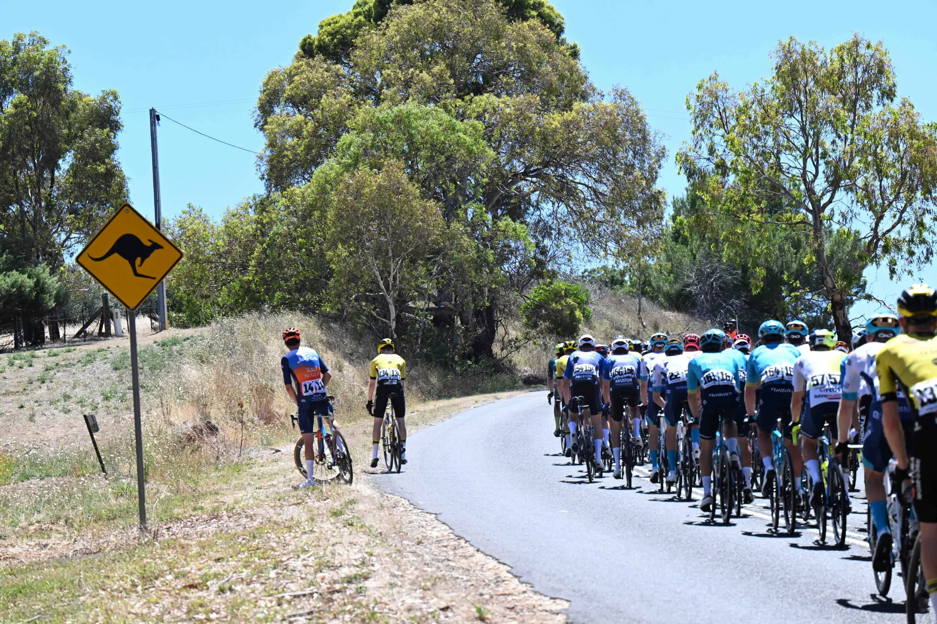 Participants Tour Down Under 2025 | UAE Team Emirates-XRG to debut four riders in Australia!