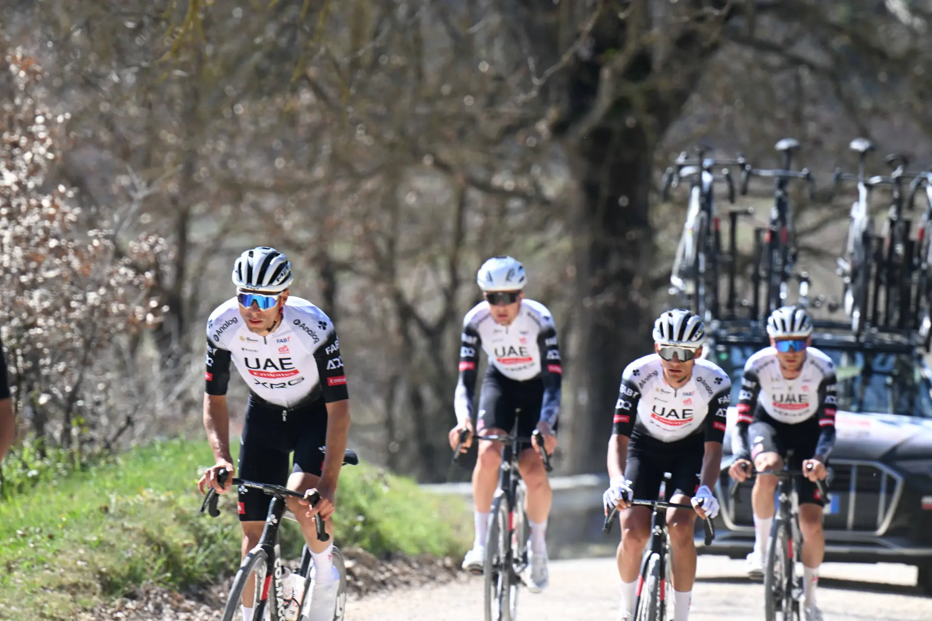 uae team emirates