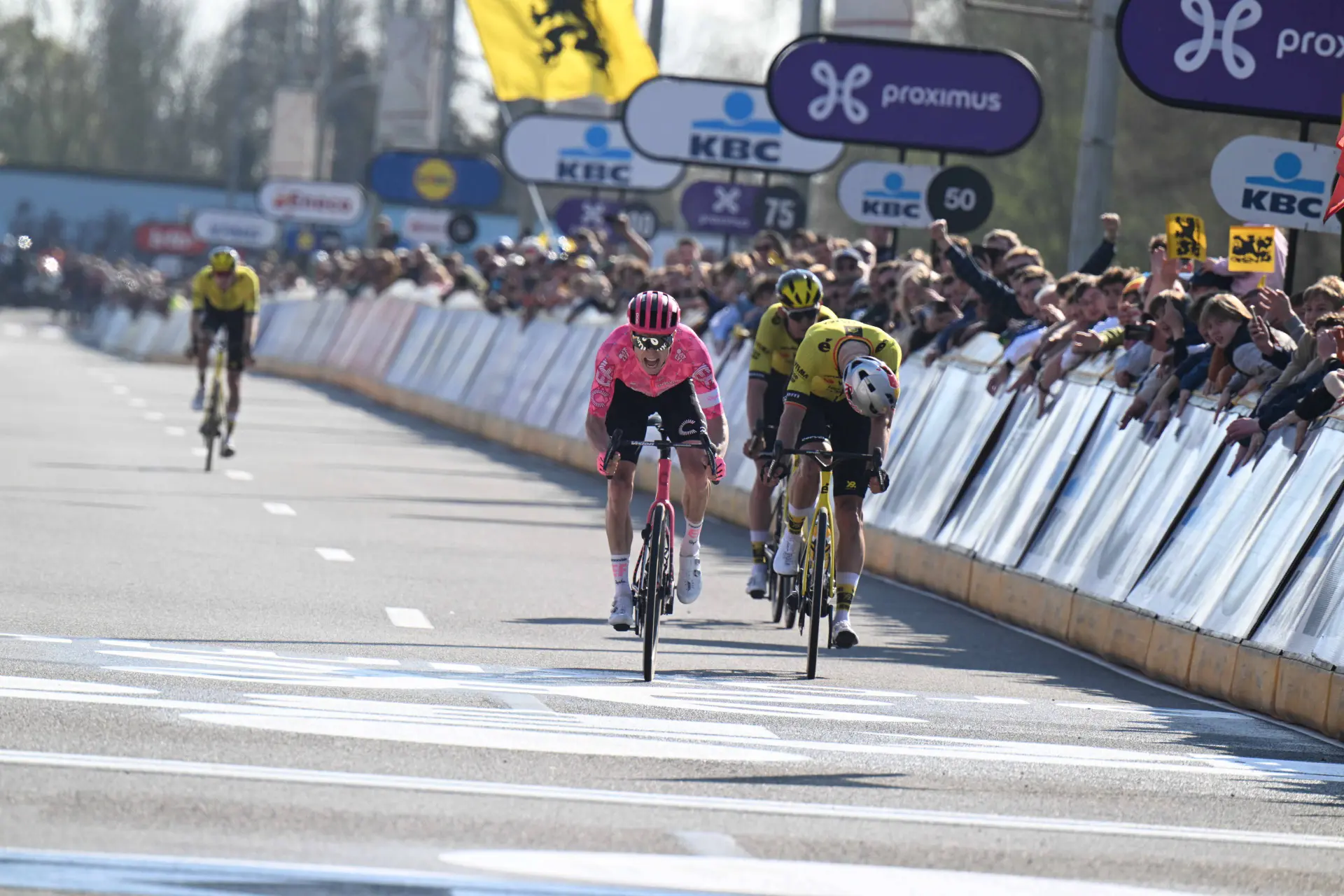 Belgian analysts in disbelief after Dwars door Vlaanderen: "The last 100 meters ruined a lot"