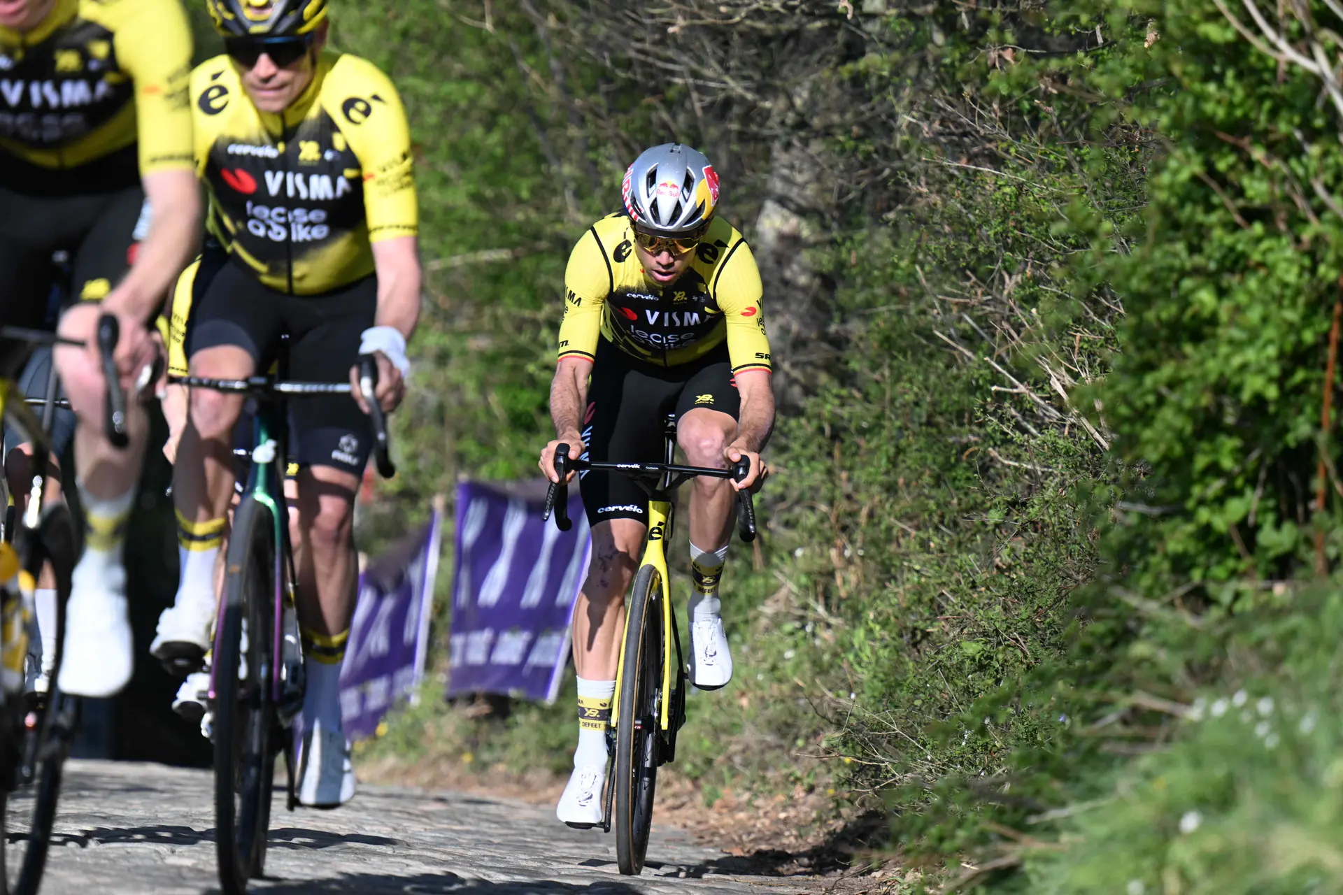 Visma | Lease a Bike saw Wout van Aert improve during the Tour of Flanders: "That's promising"