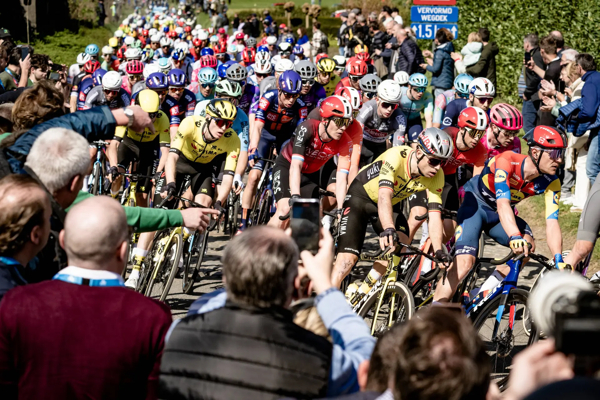 Jorgenson uses the experience he had with van der Poel in last year's Tour of Flanders: "I'll have that knowledge on Sunday"