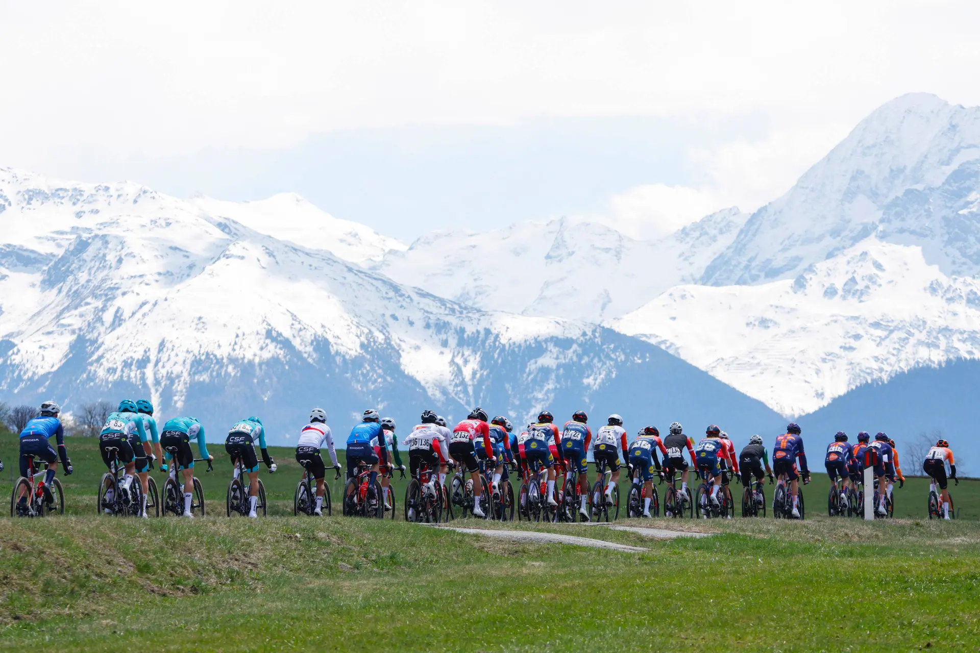 UPDATE: Massive crash halts stage 3 of Tour of the Alps just after start, injury reports trickle in