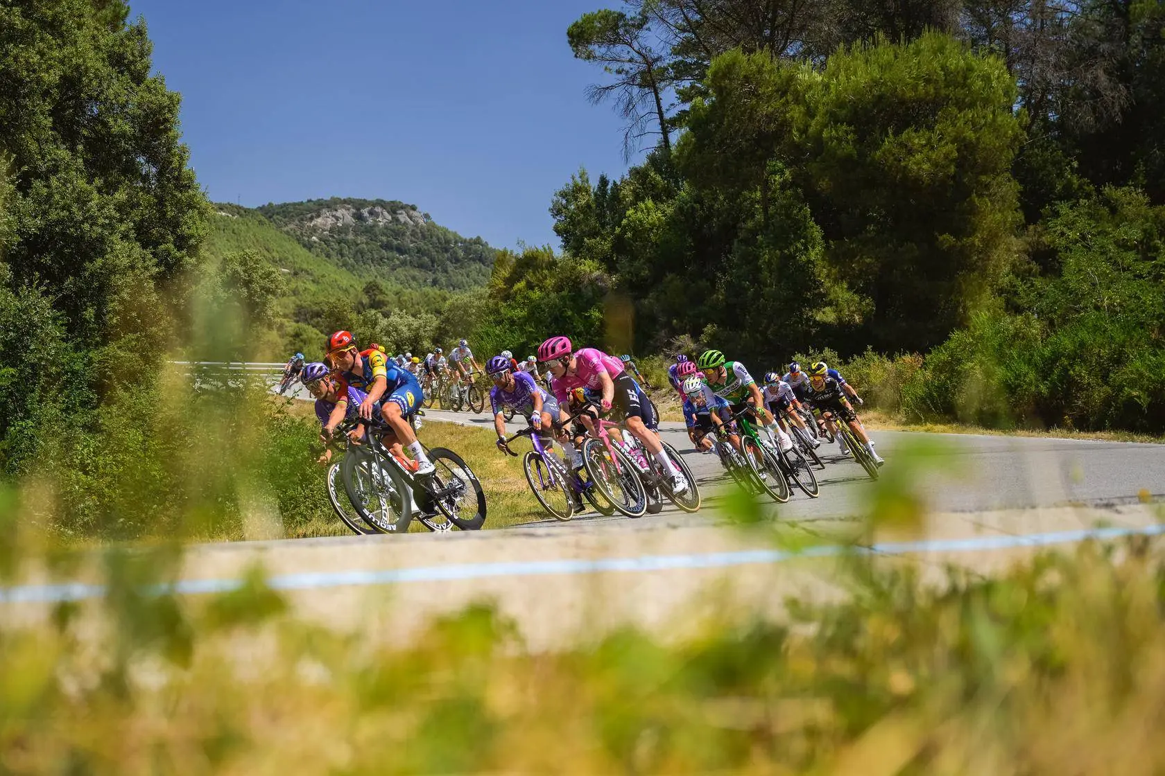 peloton-tour-de-france