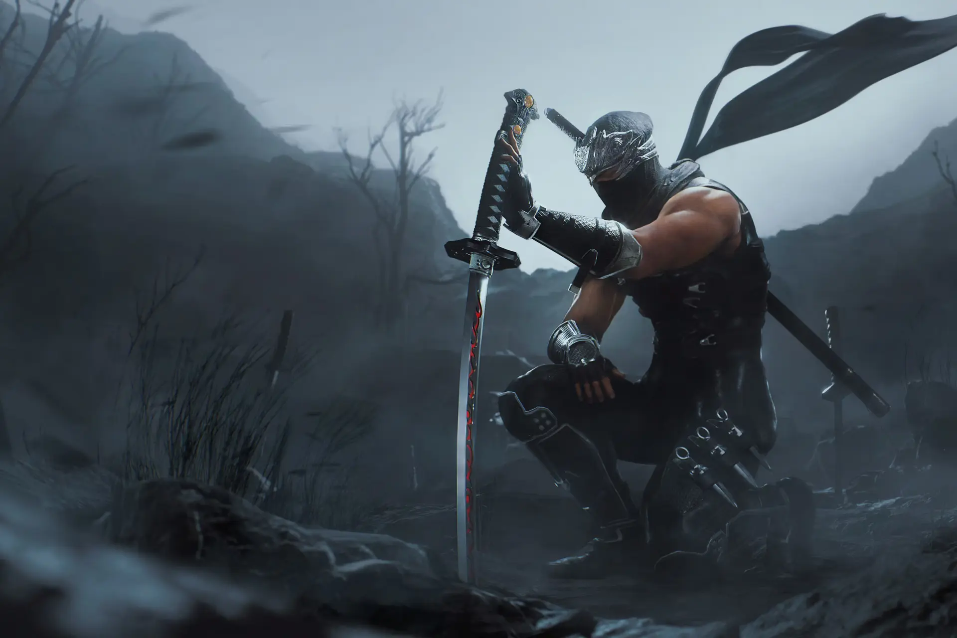 ninja gaiden 2 black 1