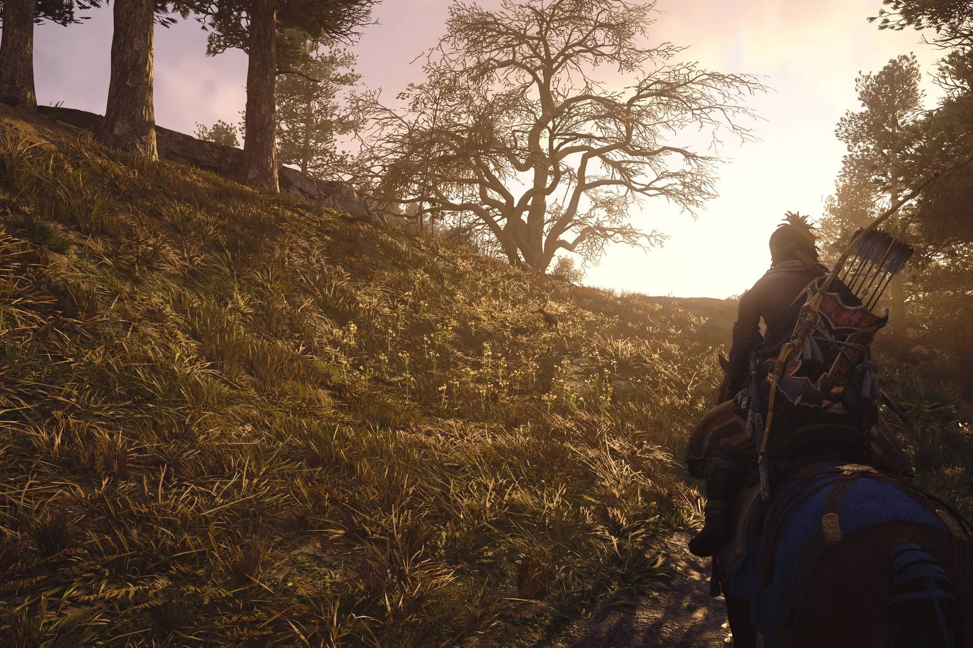 Deze Assassin’s Creed Shadows skills wil je snel unlocken