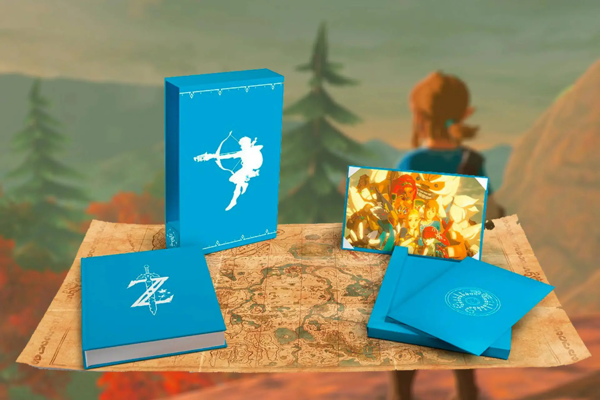 Zelda boek