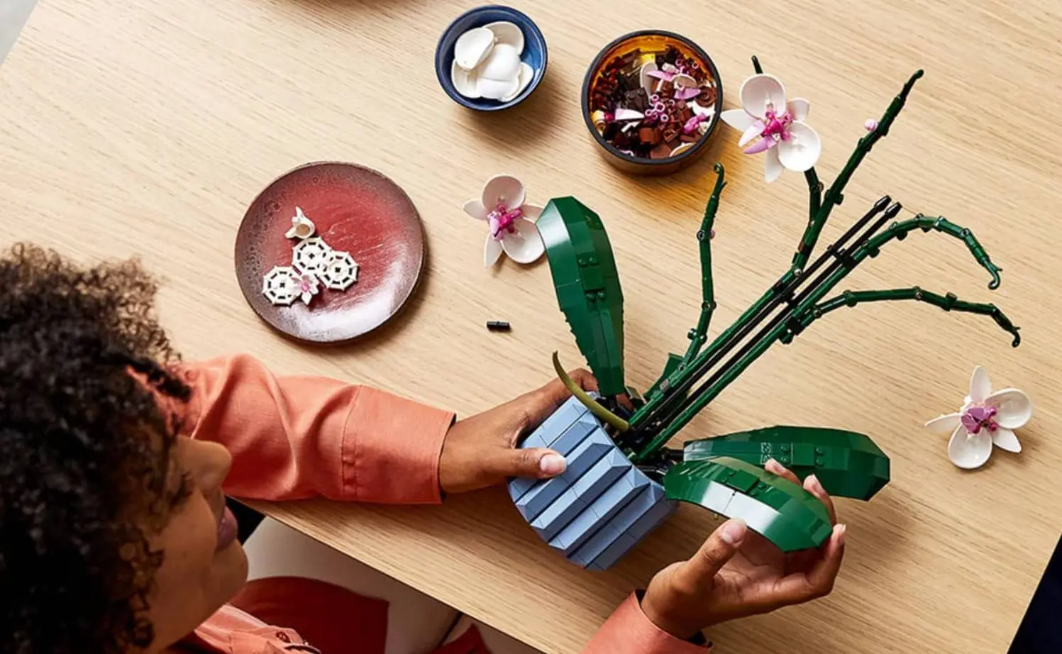 Deze 10 LEGO Botanicals sets zijn nu het meest populair