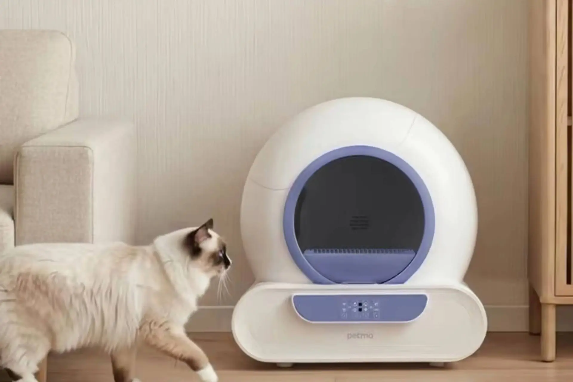 Hombli kattenbak