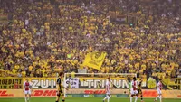 Vitesse verliest zijn proflicentie; club voldoet niet aan regels KNVB