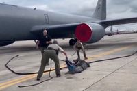 Alligator niet welkom op luchtmachtbasis in Florida