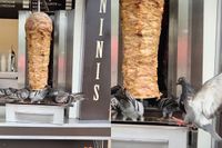 Voor deze vliegende ratten is het happy hour in de kebabzaak