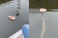 Toch een soort van Jaws tijdens het varen met het speelgoedbootje