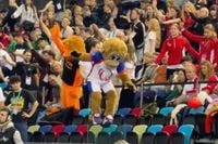 Mascotte Luigi kwam even ongelukkig terecht tijdens het gek doen