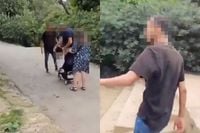 Boosmaak video van de dag: Man slaat baby in parkje in Barcelona