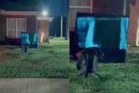 Hele buurt slaapt slecht nu levensechte scene uit 'The Ring' in een tuin staat