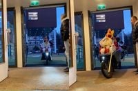 Aankomst Sinterklaas in bakfiets gaat niet helemaal goed