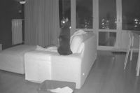 Kattencamera en beveiligingscamera hebben explosies in Den Haag vastgelegd