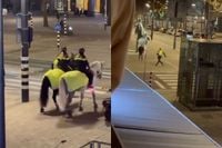 Stadhuisplein in Rotterdam was weer gezellig op zaterdagavond: Agent heeft op judo gezeten