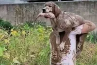 Gewoon een verzameling hilarische foto's #2062