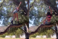 Chick in “Daisy Dukes” valt uit boom, maar wel op de mooiste manier mogelijk