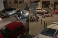 Politiehond wist wel raad met relschopper in Scheveningen