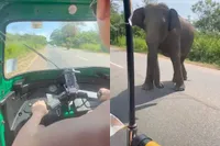 Maatje heeft black-out, dus spannend momentje met olifant in Sri Lanka