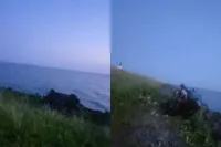 Sta je toch even te kijken als je total loss auto vindt bij Oostvaardersplassen