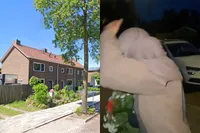 Onrust in Apeldoorn: Huis bekogeld na video van rouwboeketdieven op begraafplaats