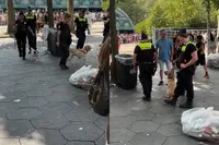 Verbaasde reacties op het feit dat de politie met honden rondloopt op Tomorrowland