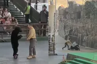 Beer in Hangzhou gaat full send op zijn trainer tijdens belachelijke show