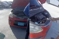 Op Aruba kun je soms een slang tegenkomen onder de motorkap die je helemaal niet nodig hebt