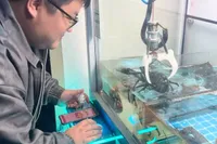 China Madness: Grijpertjes waarmee je levende kreeft kunt winnen