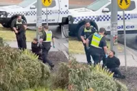 True blue Aussie mates: elkaar niet laten hangen, zelfs niet tijdens een arrestatie