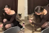 Eerlijk is eerlijk: deze poes is écht gigantisch