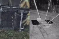 Influencer schiet buidelrat met katapult de lucht in en krijgt héél Florida achter zich aan